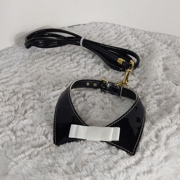 Dog Collar & Leash 12 - Picture 1 of 5
